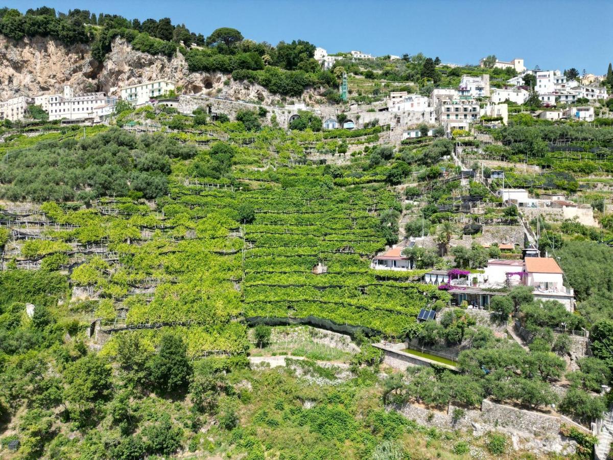 B&B I Limoni Ravello Zewnętrze zdjęcie