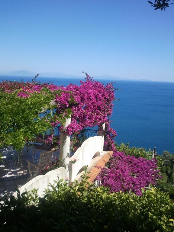 B&B I Limoni Ravello Zewnętrze zdjęcie