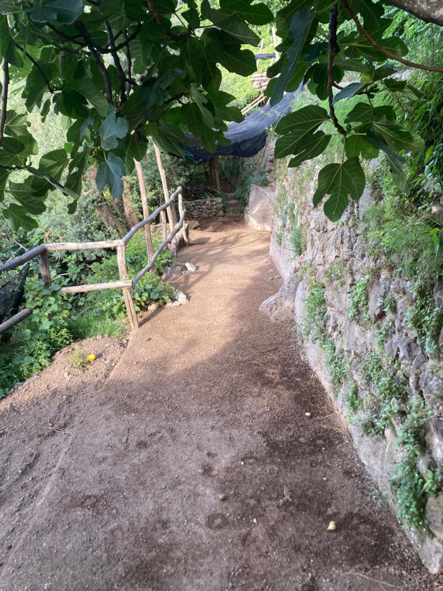 B&B I Limoni Ravello Zewnętrze zdjęcie