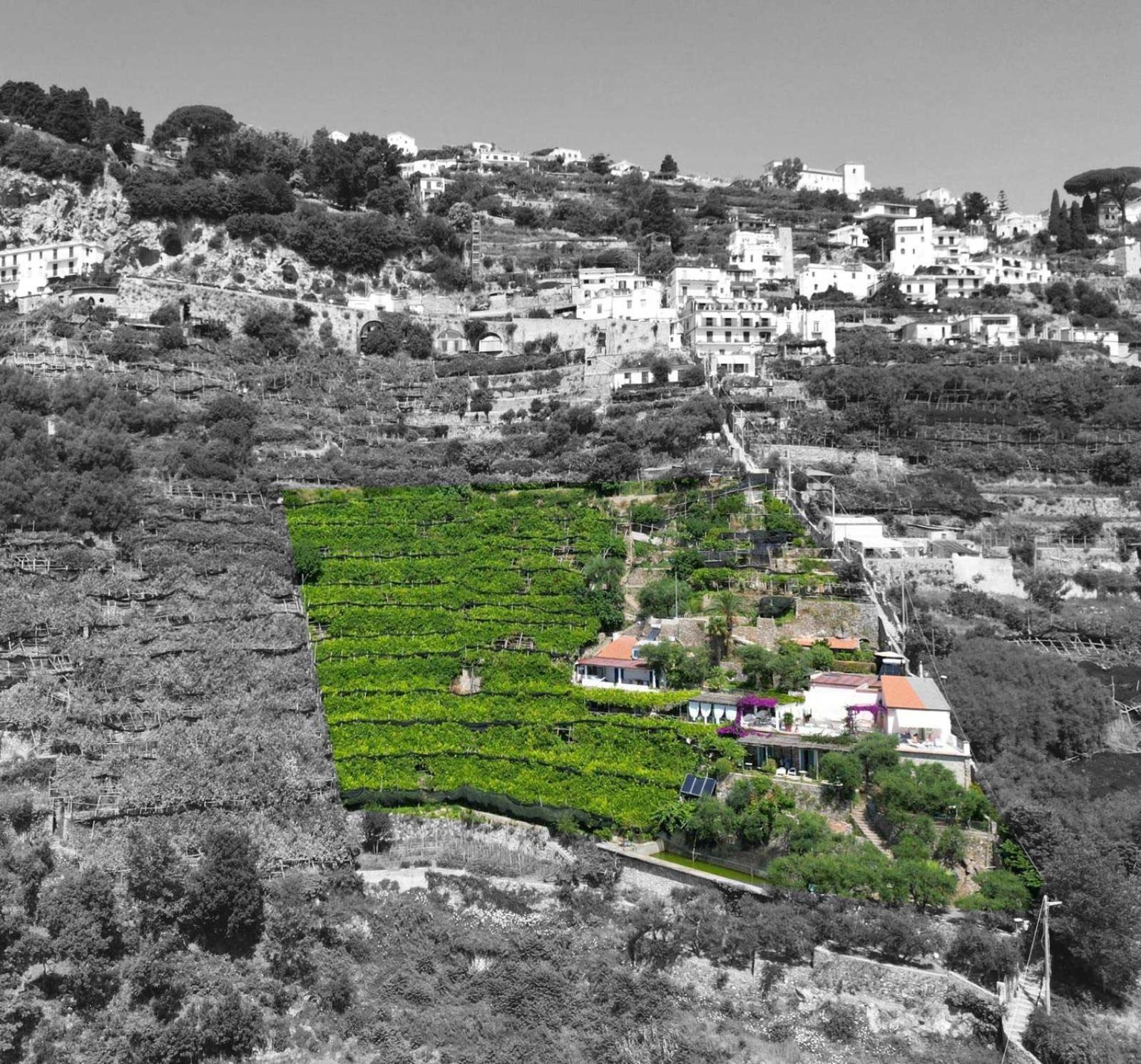 B&B I Limoni Ravello Zewnętrze zdjęcie