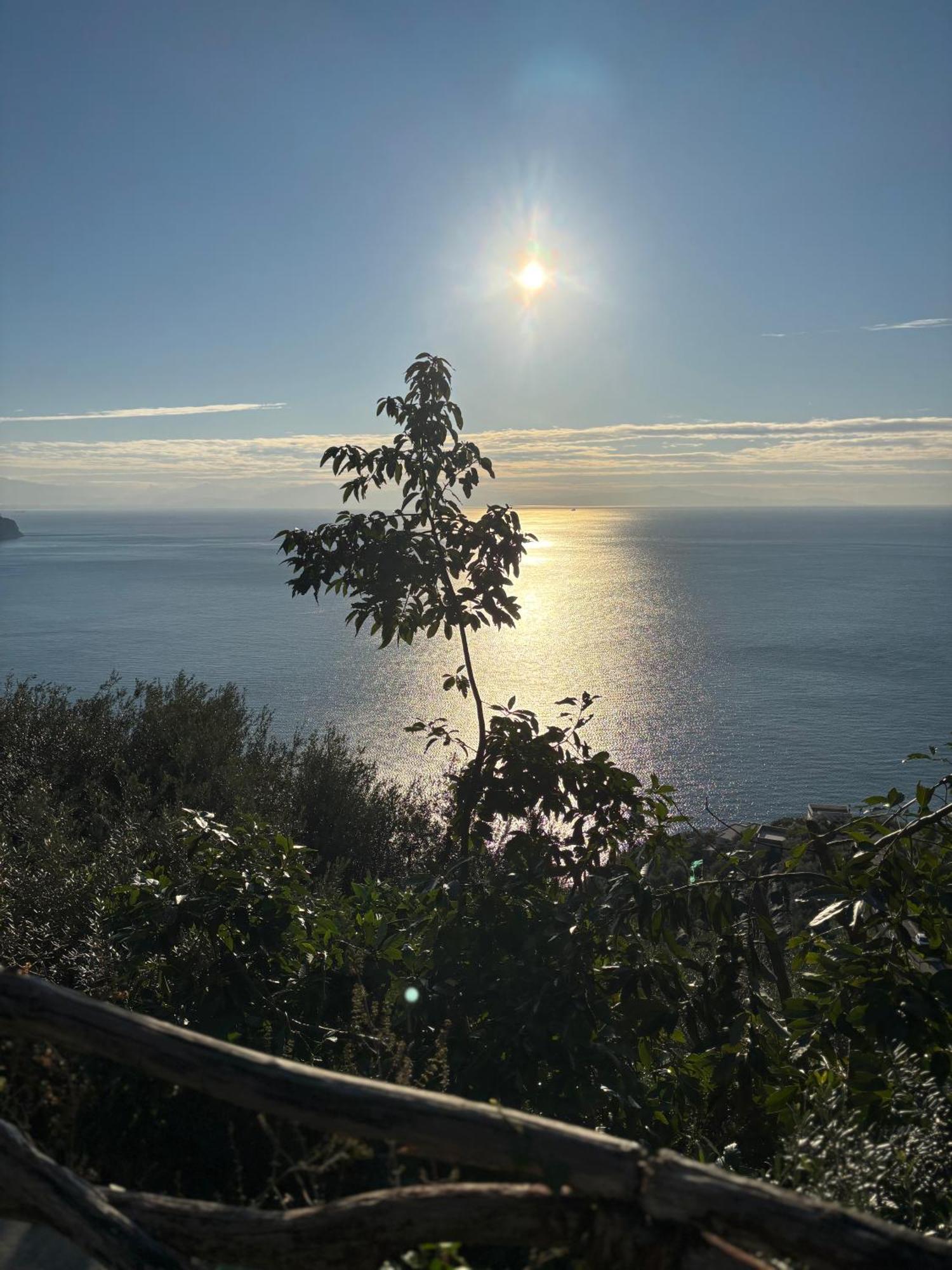 B&B I Limoni Ravello Zewnętrze zdjęcie