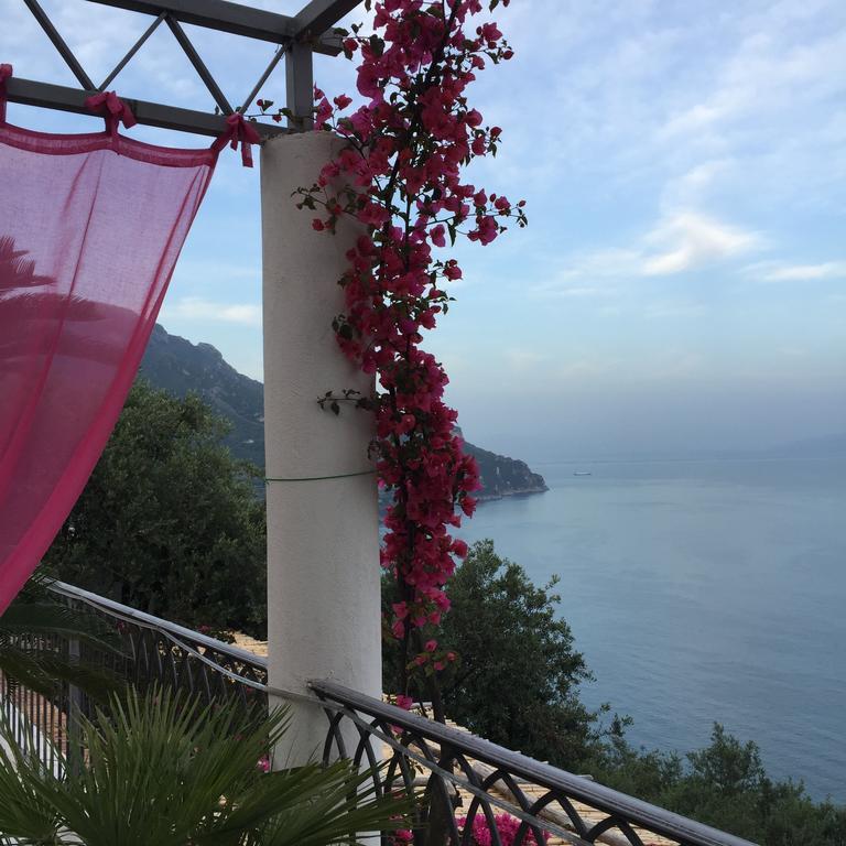 B&B I Limoni Ravello Zewnętrze zdjęcie