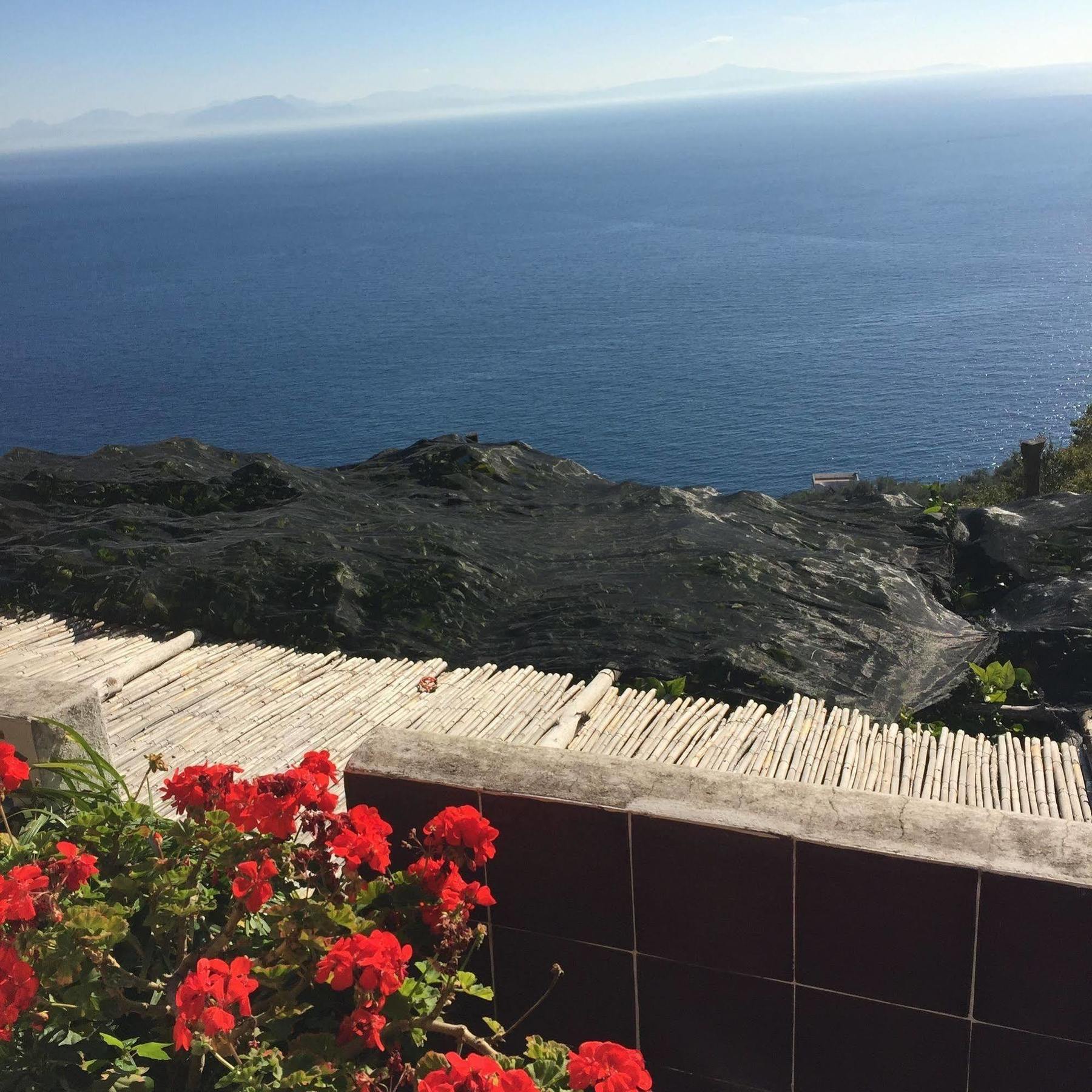 B&B I Limoni Ravello Zewnętrze zdjęcie