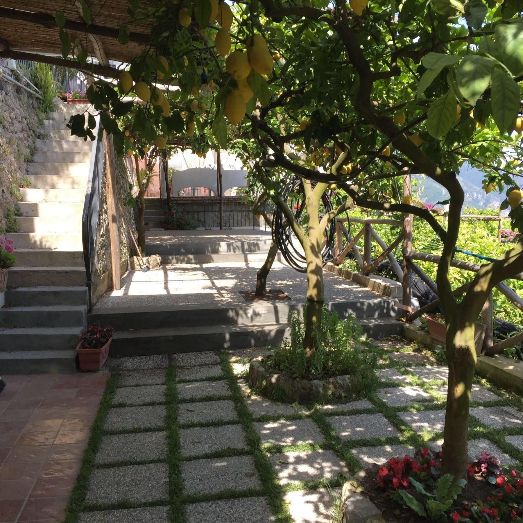 B&B I Limoni Ravello Zewnętrze zdjęcie
