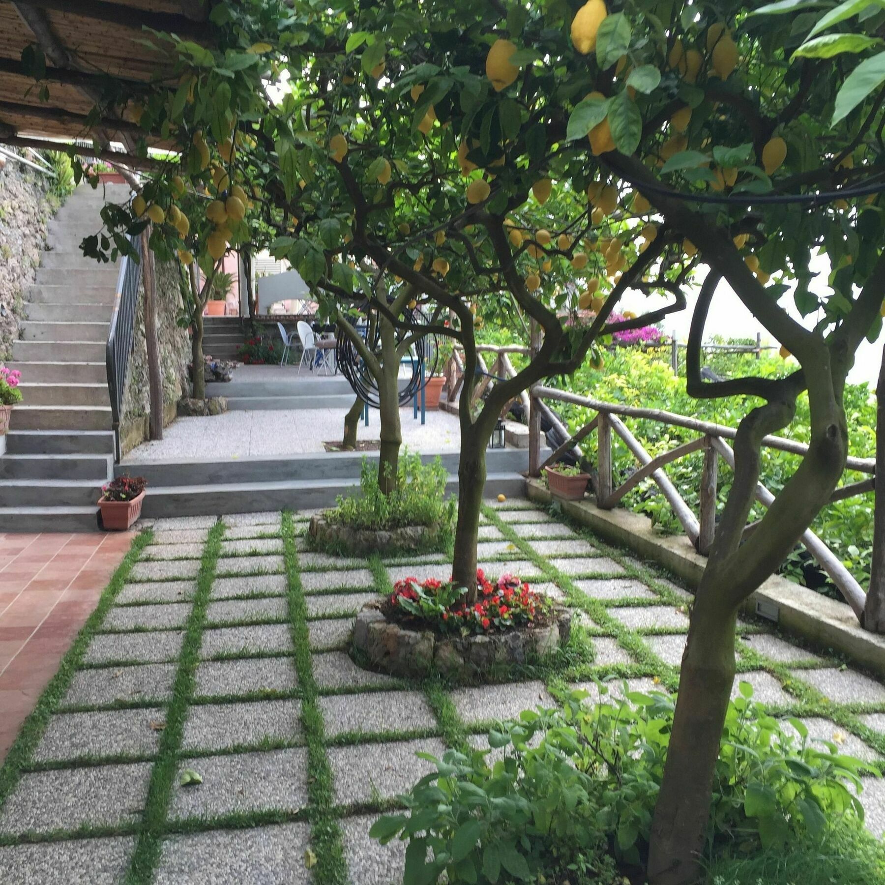 B&B I Limoni Ravello Zewnętrze zdjęcie